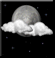 Tonight: Patchy fog after 5am. Otherwise, increasing clouds, with a low around 54. North northeast wind 3 to 8 mph. Tonight: Patchy fog after 5am. Otherwise, increasing clouds, with a low around 54. North northeast wind 3 to 8 mph.